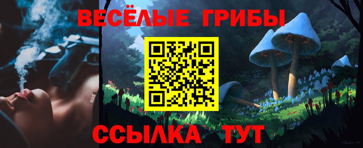 как найти наркотики  Вход с VPN  Вольск  Псилоцибиновые грибы Magic Shrooms  Псилоцибиновые грибы GOLDEN TEACHER 