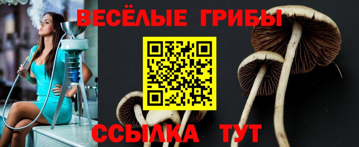 Псилоцибиновые грибы мухоморы Вольск